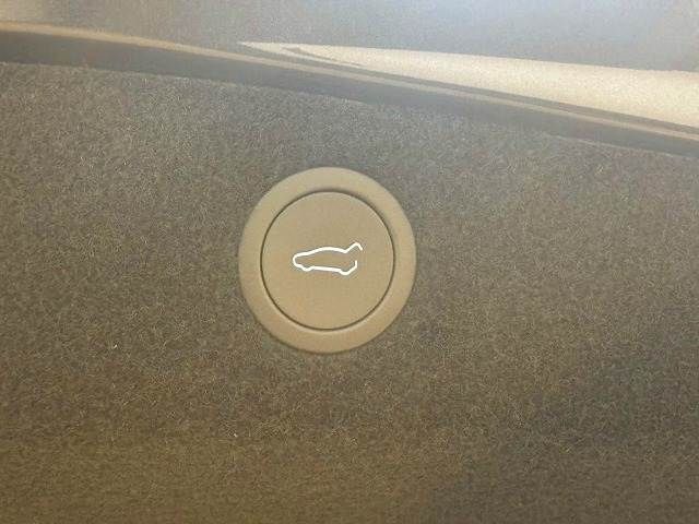 TESLA MODEL 3 2024 Image 31