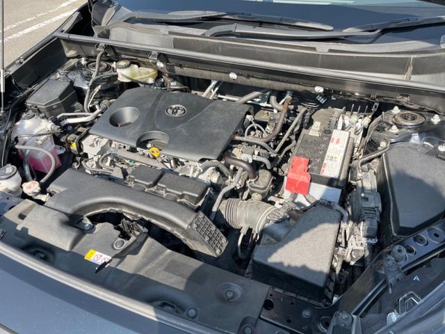 TOYOTA RAV4 4WD 2021 Image 31