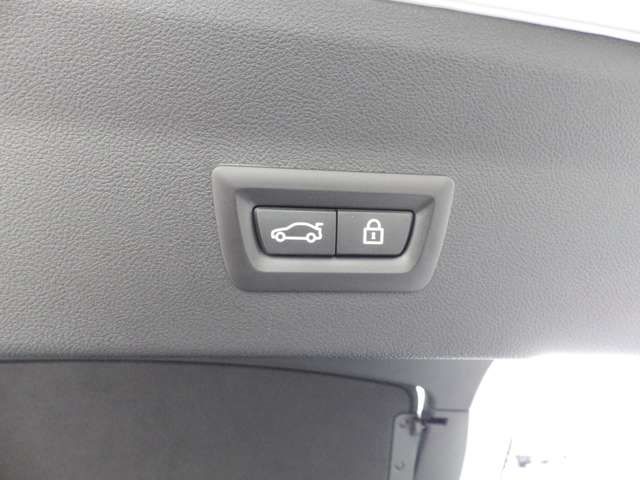 BMW X4 2021 Image 31