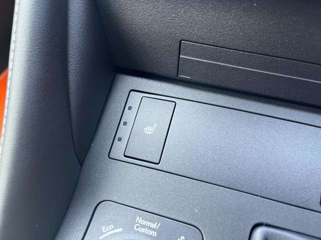 TOYOTA LEXUS RC300H 2023 Image 31