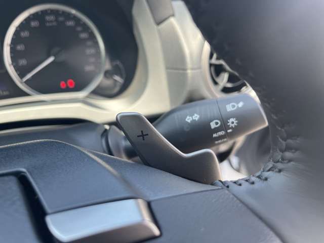 TOYOTA LEXUS RC300H 2023 Image 31