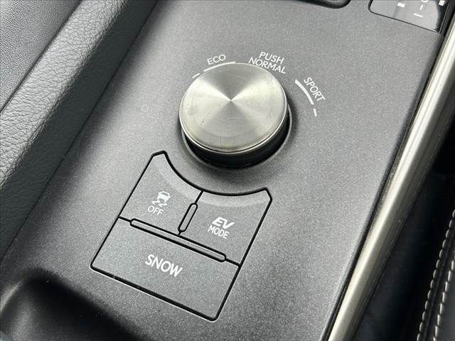 TOYOTA LEXUS IS300H 2014 Image 31