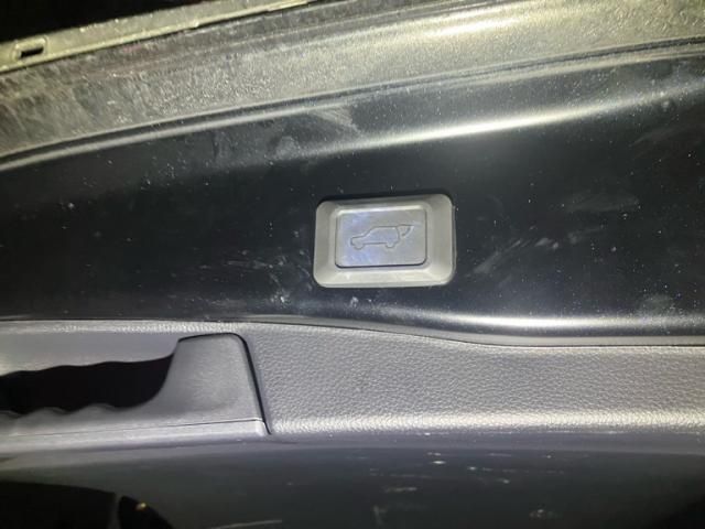 TOYOTA RAV4 4WD 2023 Image 31