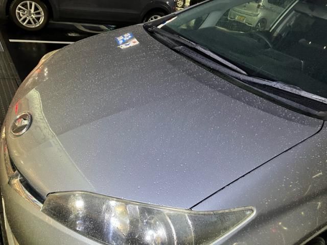 TOYOTA WISH 2009 Image 31