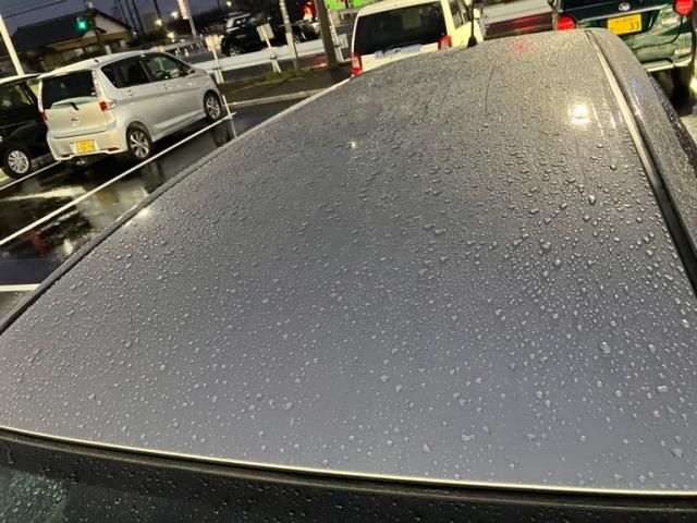 TOYOTA WISH 2009 Image 31