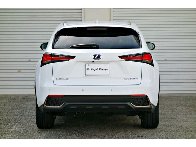 TOYOTA LEXUS NX300H AWD 2019 Image 31