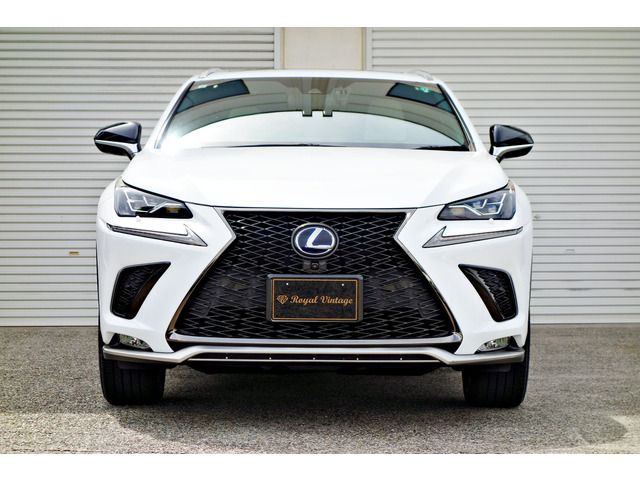 TOYOTA LEXUS NX300H AWD 2019 Image 31
