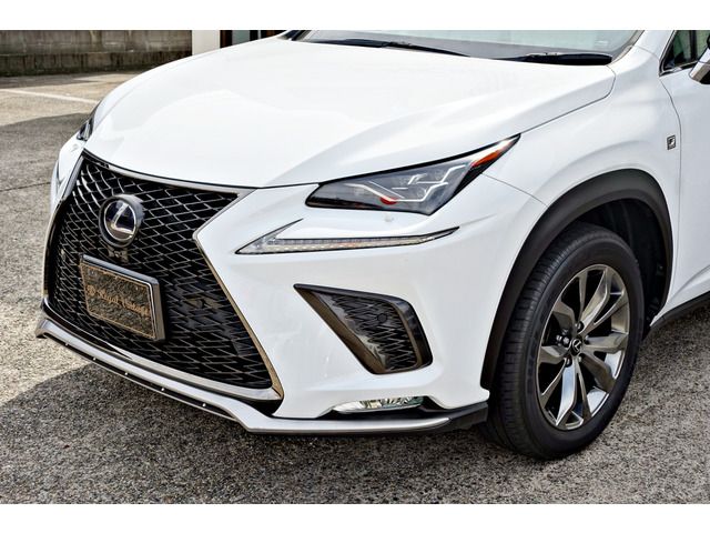 TOYOTA LEXUS NX300H AWD 2019 Image 31