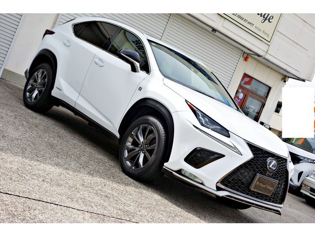 TOYOTA LEXUS NX300H AWD 2019 Image 31