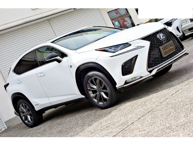 TOYOTA LEXUS NX300H AWD 2019 Image 31
