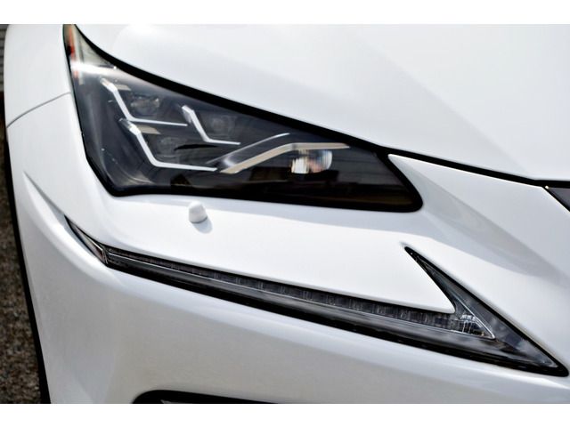 TOYOTA LEXUS NX300H AWD 2019 Image 31