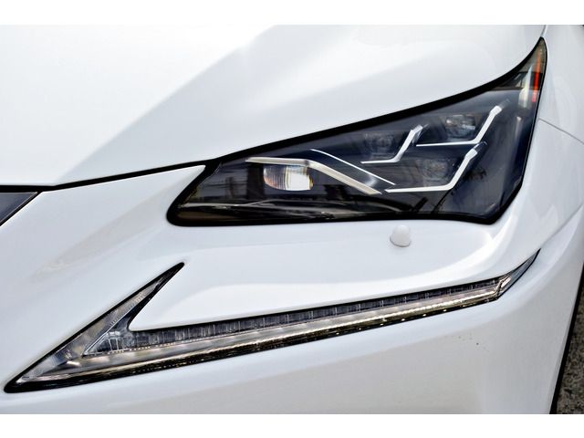 TOYOTA LEXUS NX300H AWD 2019 Image 31