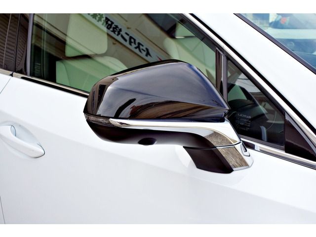 TOYOTA LEXUS NX300H AWD 2019 Image 31