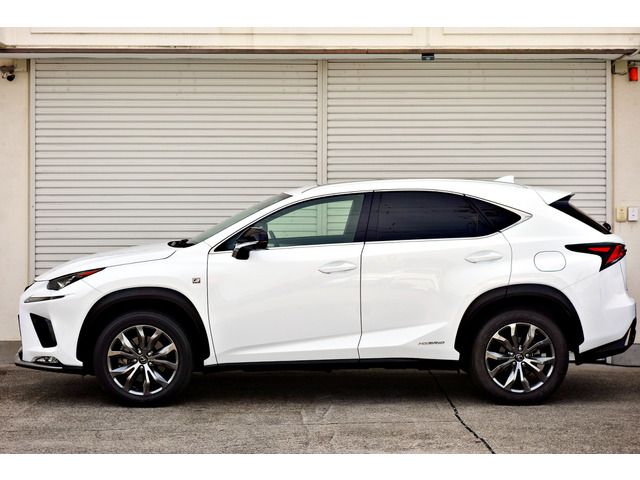 TOYOTA LEXUS NX300H AWD 2019 Image 31