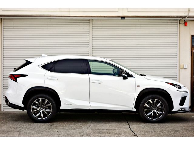 TOYOTA LEXUS NX300H AWD 2019 Image 31
