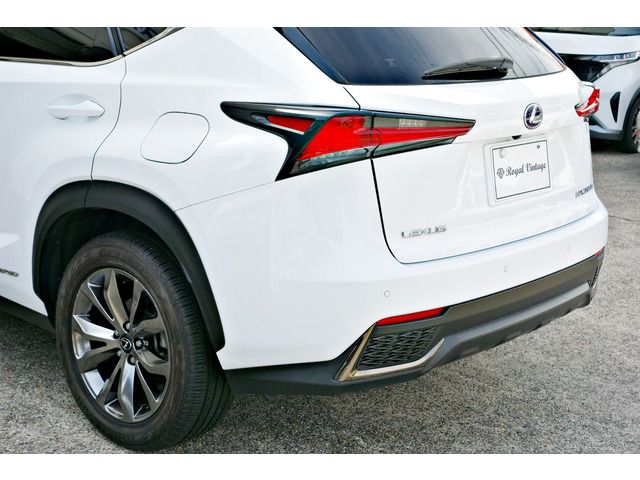 TOYOTA LEXUS NX300H AWD 2019 Image 31