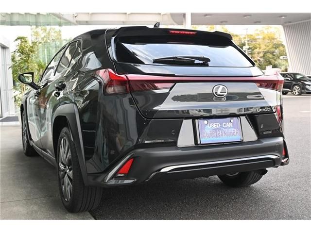 TOYOTA LEXUS UX300H 2024 Image 31