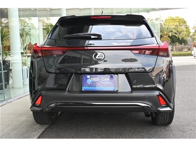 TOYOTA LEXUS UX300H 2024 Image 31
