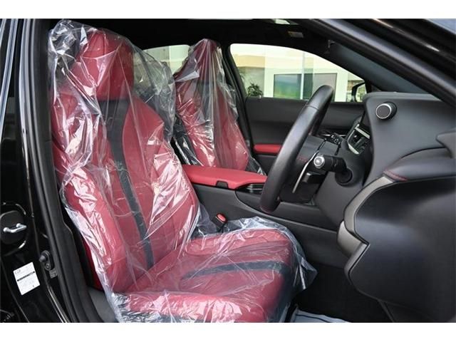 TOYOTA LEXUS UX300H 2024 Image 31