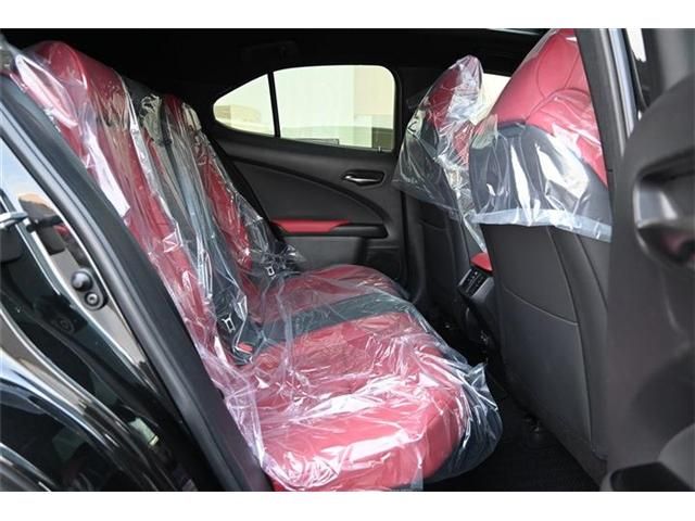 TOYOTA LEXUS UX300H 2024 Image 31