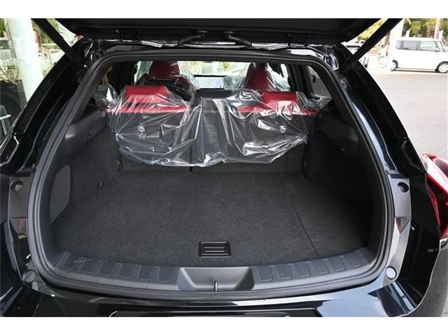 TOYOTA LEXUS UX300H 2024 Image 31