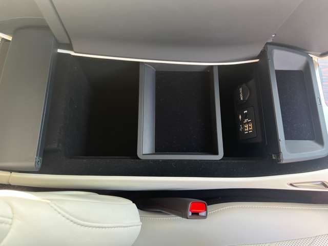 TOYOTA LEXUS LS500 2020 Image 31