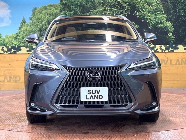 TOYOTA LEXUS NX350H 2022 Image 31