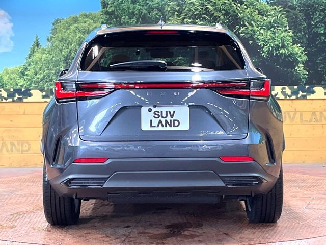 TOYOTA LEXUS NX350H 2022 Image 31