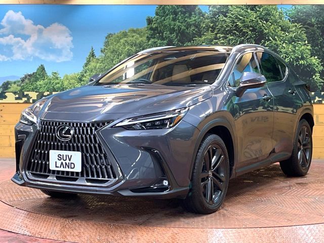 TOYOTA LEXUS NX350H 2022 Image 31