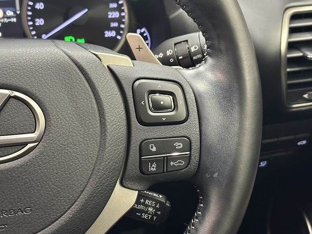 TOYOTA LEXUS NX300H 2021 Image 31