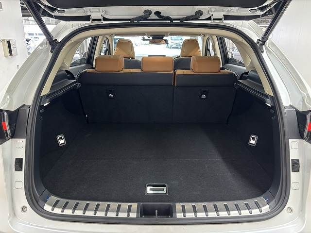 TOYOTA LEXUS NX300H 2021 Image 31