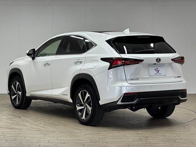 TOYOTA LEXUS NX300H 2021 Image 31