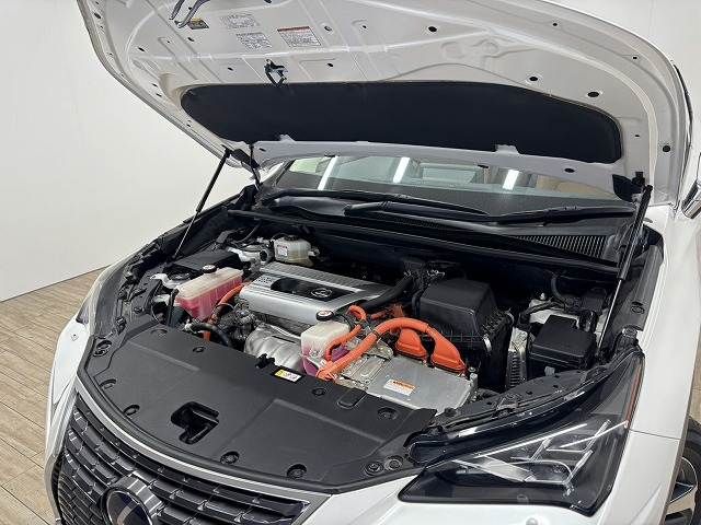 TOYOTA LEXUS NX300H 2021 Image 31