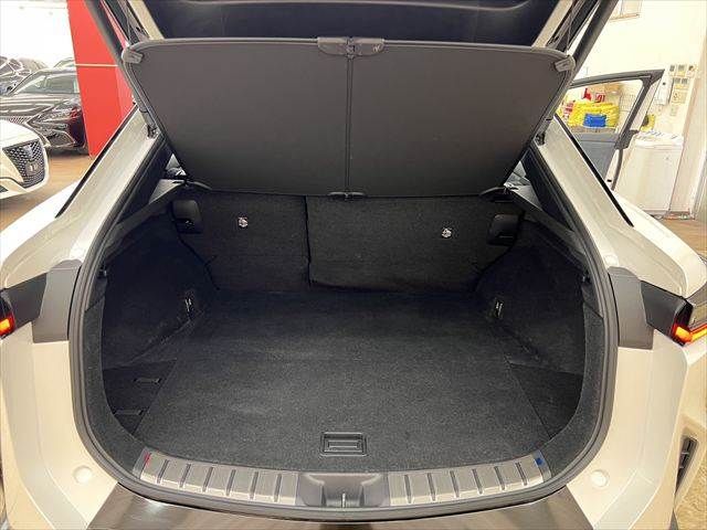 TOYOTA LEXUS RZ450E 2023 Image 31