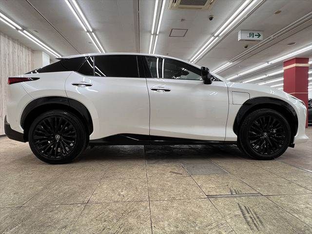 TOYOTA LEXUS RZ450E 2023 Image 31