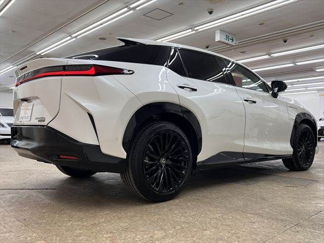 TOYOTA LEXUS RZ450E 2023 Image 31