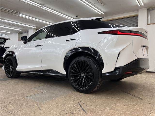 TOYOTA LEXUS RZ450E 2023 Image 31