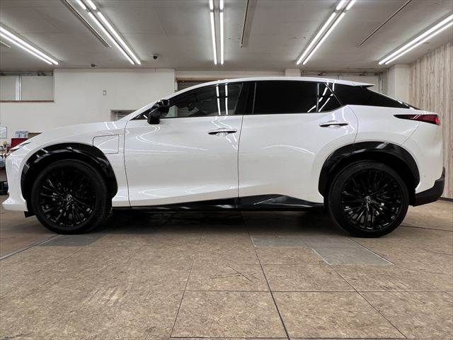 TOYOTA LEXUS RZ450E 2023 Image 31