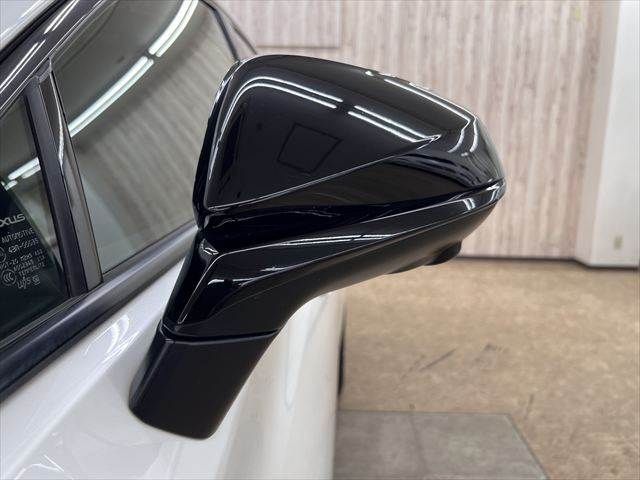 TOYOTA LEXUS RZ450E 2023 Image 31