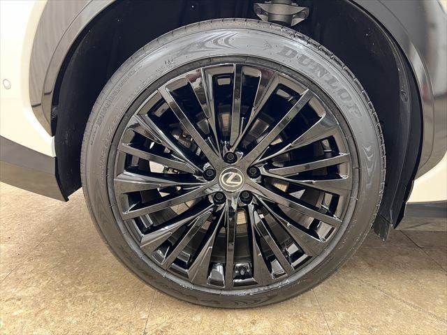 TOYOTA LEXUS RZ450E 2023 Image 31