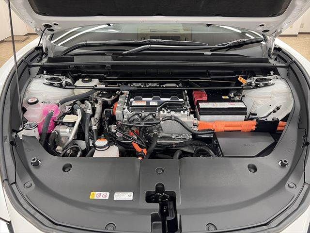 TOYOTA LEXUS RZ450E 2023 Image 31