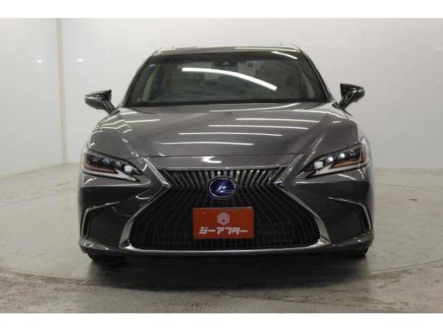 TOYOTA LEXUS ES300H 2019 Image 31