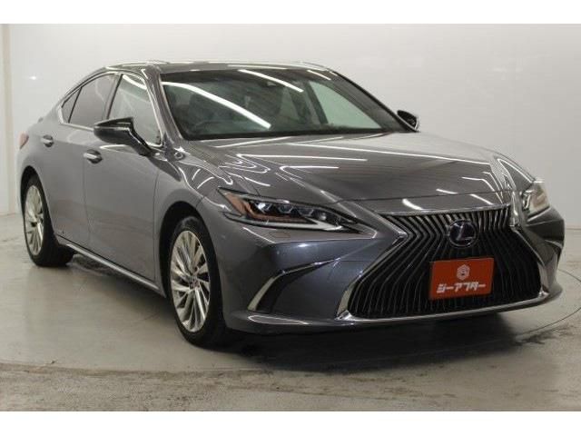 TOYOTA LEXUS ES300H 2019 Image 31