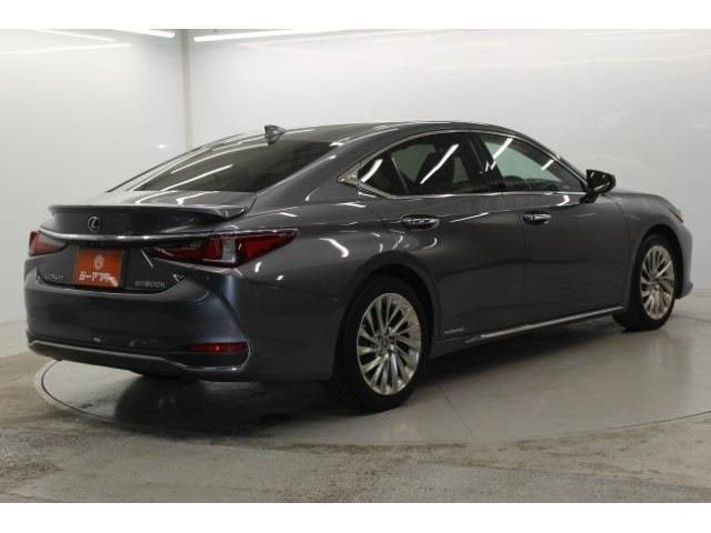 TOYOTA LEXUS ES300H 2019 Image 31