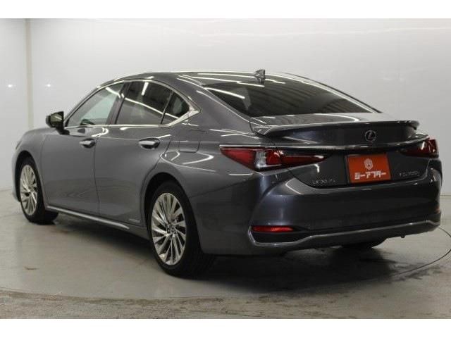 TOYOTA LEXUS ES300H 2019 Image 31
