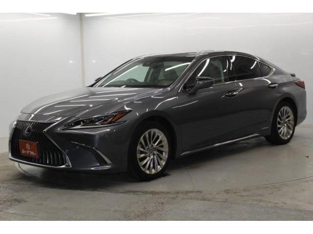 TOYOTA LEXUS ES300H 2019 Image 31