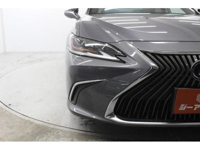 TOYOTA LEXUS ES300H 2019 Image 31