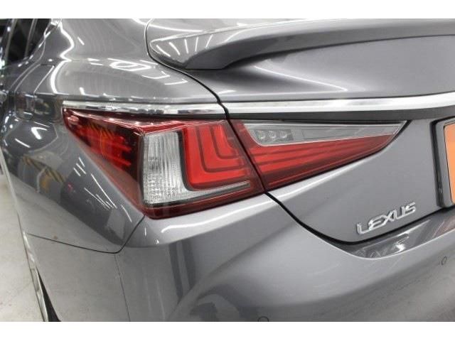 TOYOTA LEXUS ES300H 2019 Image 31