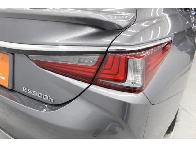 TOYOTA LEXUS ES300H 2019 Image 31