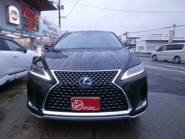TOYOTA LEXUS RX450H AWD 2020 Image 31